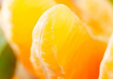 The History of the Clementine 