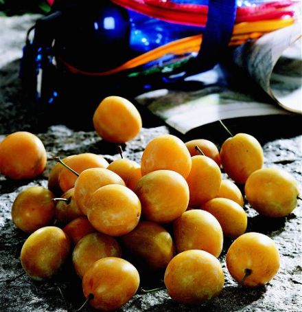Yellow Plum, the fruit for athletes