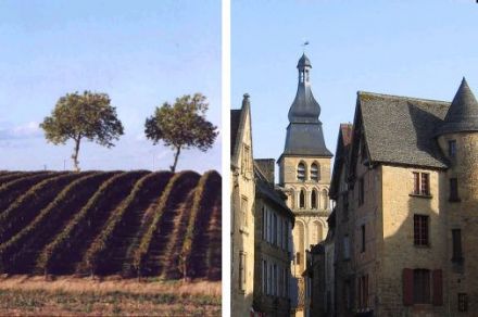 Wines from the South-West - Saint Sardos