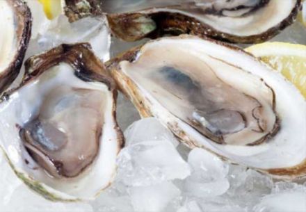 Malpeque and other PEI oysters