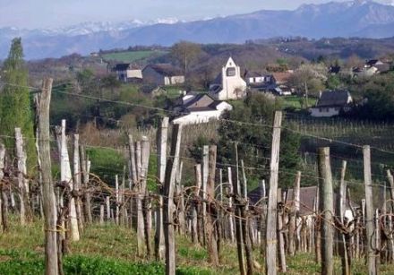 Wines from the South-West - Jurançon 2