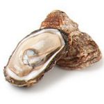 Malpeque and other PEI oysters 1