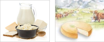 Cheeses and other dairy products