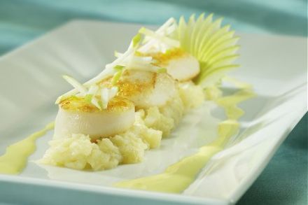 Scallops with Saffron Sauce and Granny Smith Apple