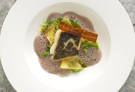 Wels Catfish Fillet with Krautfleckerln (cabbage and noodles) and red wine mustard sauce