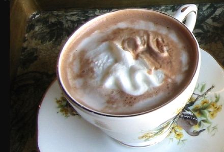 Viennese-Style Hot Chocolate