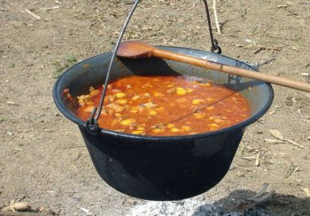 Hungarian Goulash 1