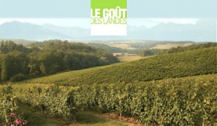 The Cuisine of the Landes region